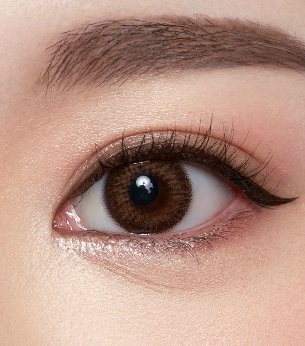 daisy-brown-image_2