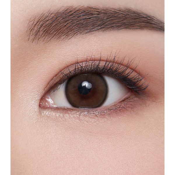 mini-bella-brown-image_4