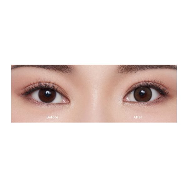 mini-bella-brown-image_3