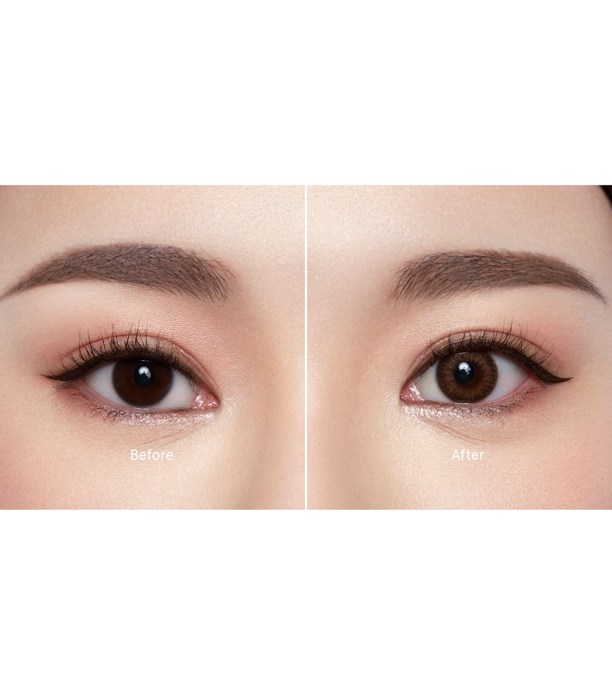 daisy-brown-image_3