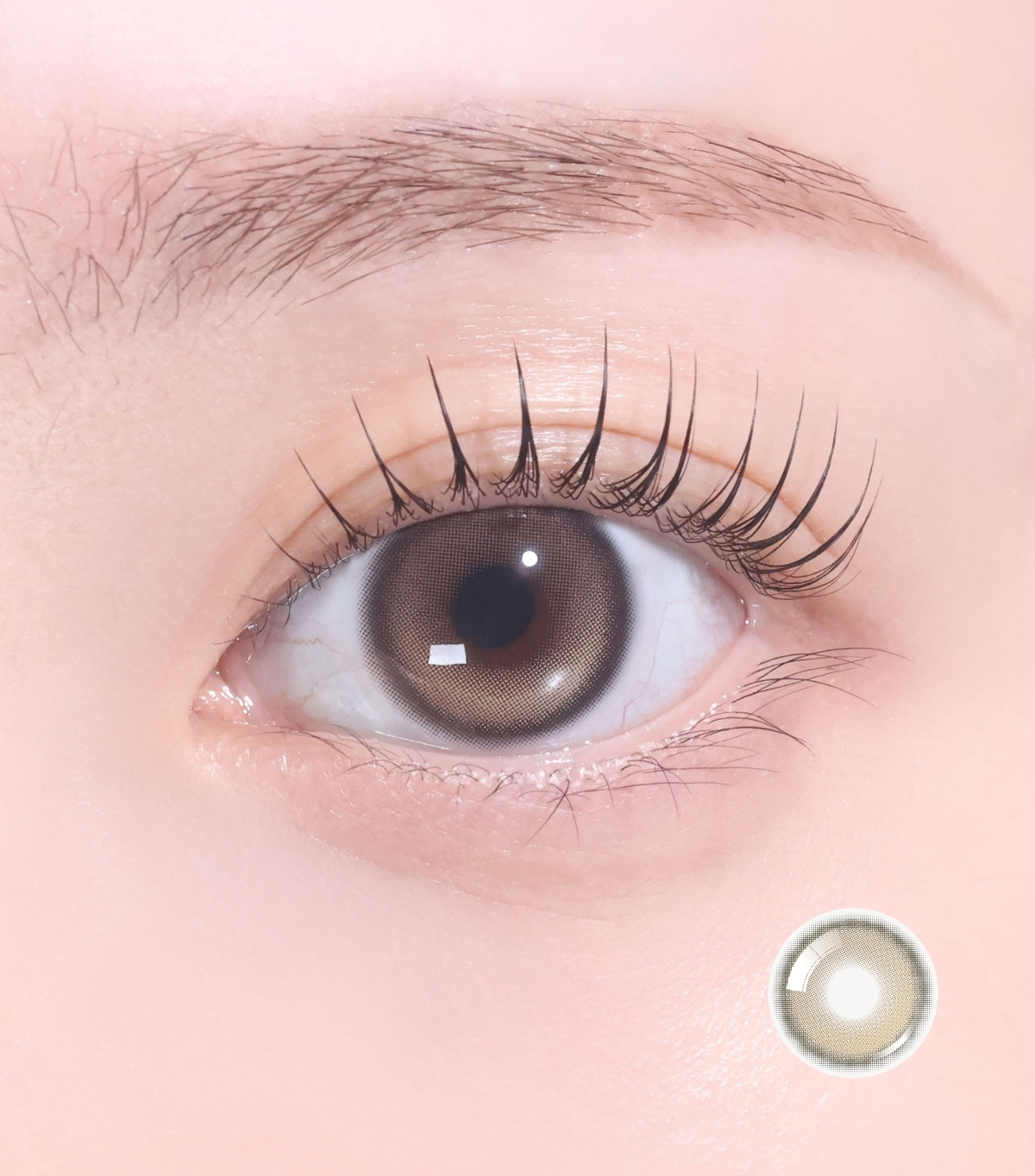 daily-brew-caramel-brown-image_4